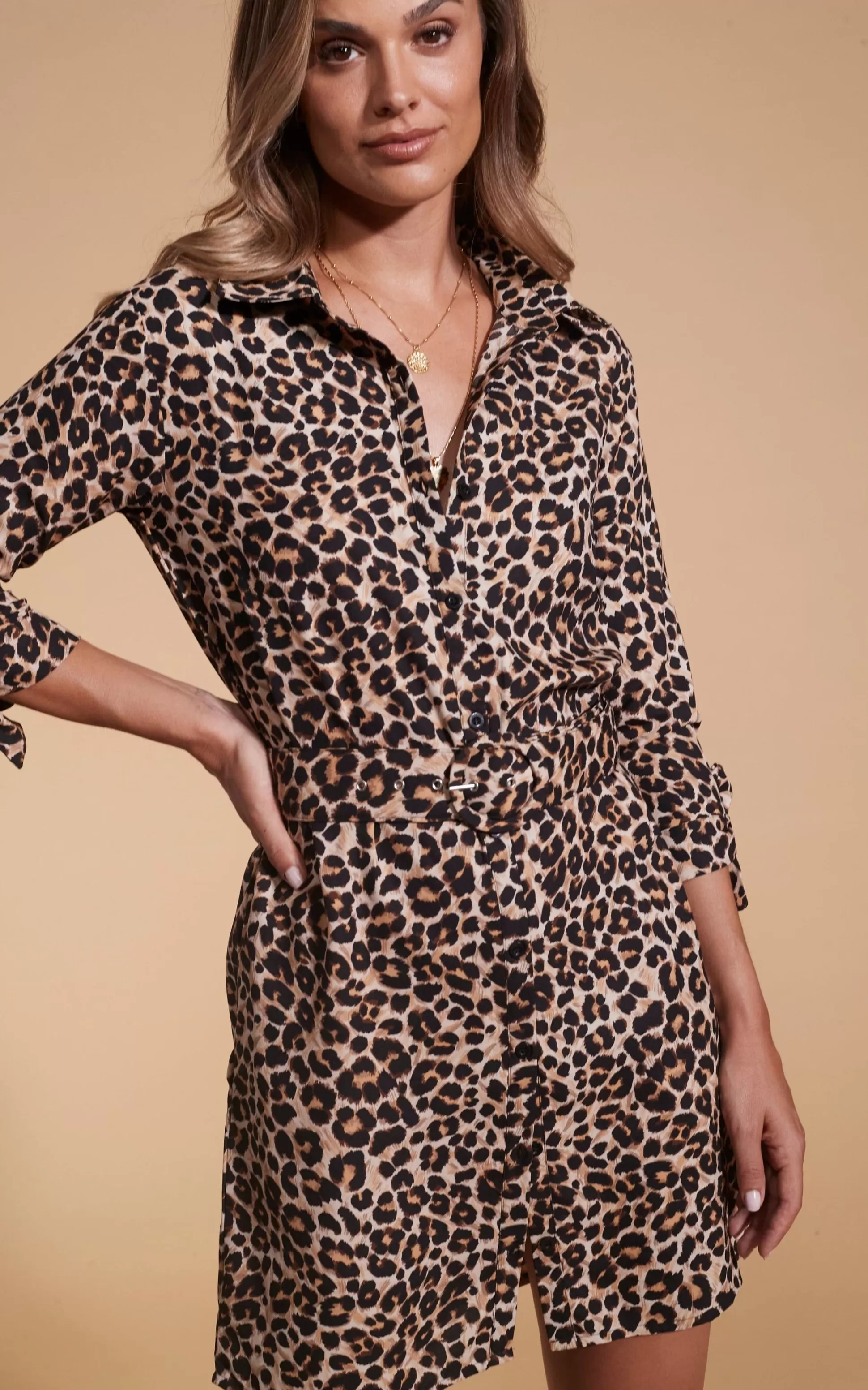 Dresses*Dancing Leopard Jonah Mini Shirt Dress In Rich Leopard